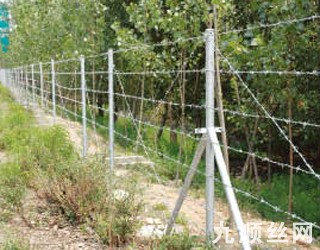 刺鐵絲護(hù)欄2.jpg 刺鐵絲護(hù)欄2.jpg